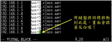 区块选择的结果示意图