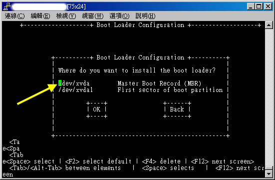 当然是安装在 /dev/xvda 的 MBR 中！