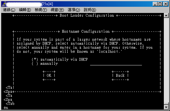 主机名称也先不要设定，使用 DHCP 预设值