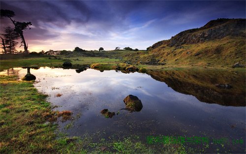 otuataua stonefields