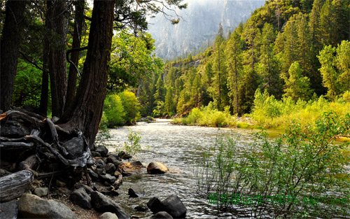 yosemite falls