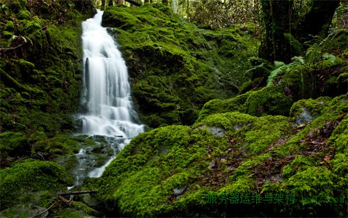 camp meeker waterfall