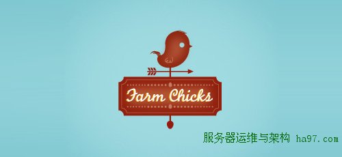 farm chicks