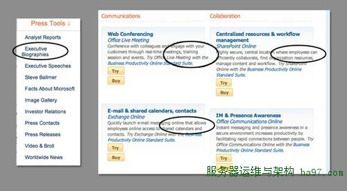 微软十大网页设计漏洞：未充分利用人才(图)