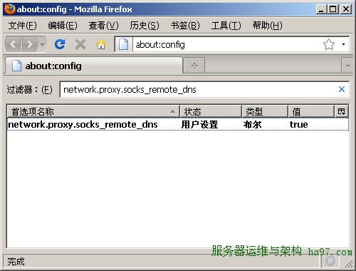 Firefox远程域名解析设置