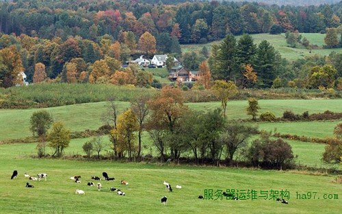 直击美国农民悲惨生活