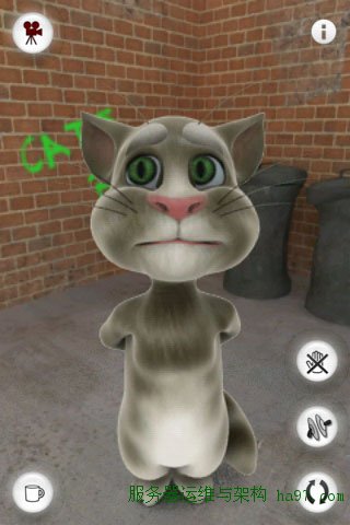 会说话的汤姆猫（Talking Tom Cat）